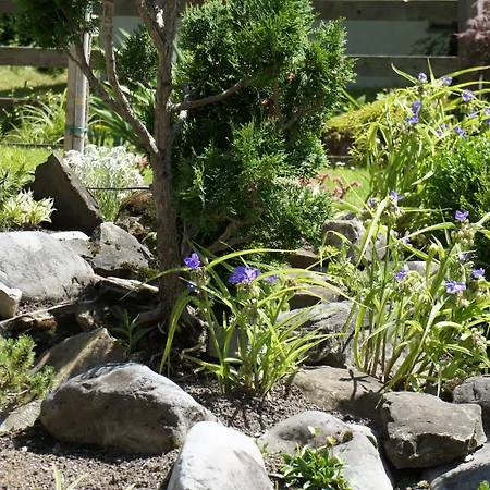 Отель Belle Epoque Victoria & 3*