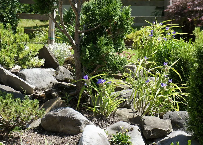 ホテル Belle Epoque Victoria & 3*