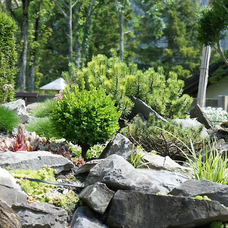 Belle Epoque Victoria & 3* Kandersteg